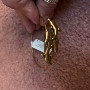 NWT ALEX AND ANI DOLPHIN WRAP BRACELET